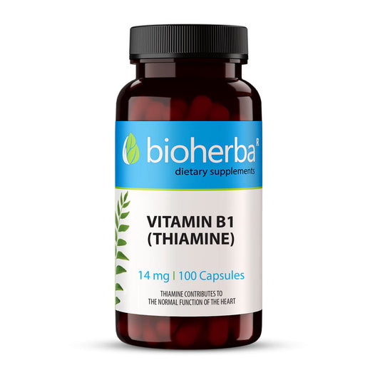 Витамин B1 Тиамин / Vitamin B1 Thiamine – 14 мг x 100 капсули | Здраво Тяло