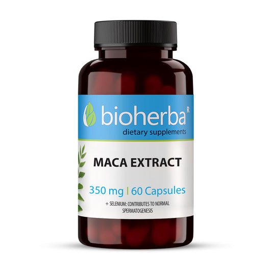 Maca Екстракт 350 mg – 60 капсули | Натурален суплемент от корен мака