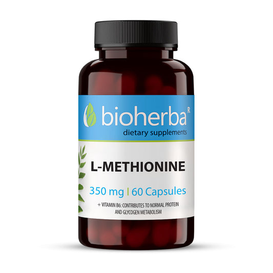 Л-Метионин / L-Methionine – 350 мг, 100 капсули | Здраво Тяло