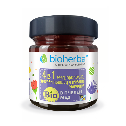 Пчелен микс 4 в 1 с прополис, пчелен прашец и био мед / Bee Mix 4 in 1 Propolis Bee Pollen Organic Honey 280 г | Здраво Тяло