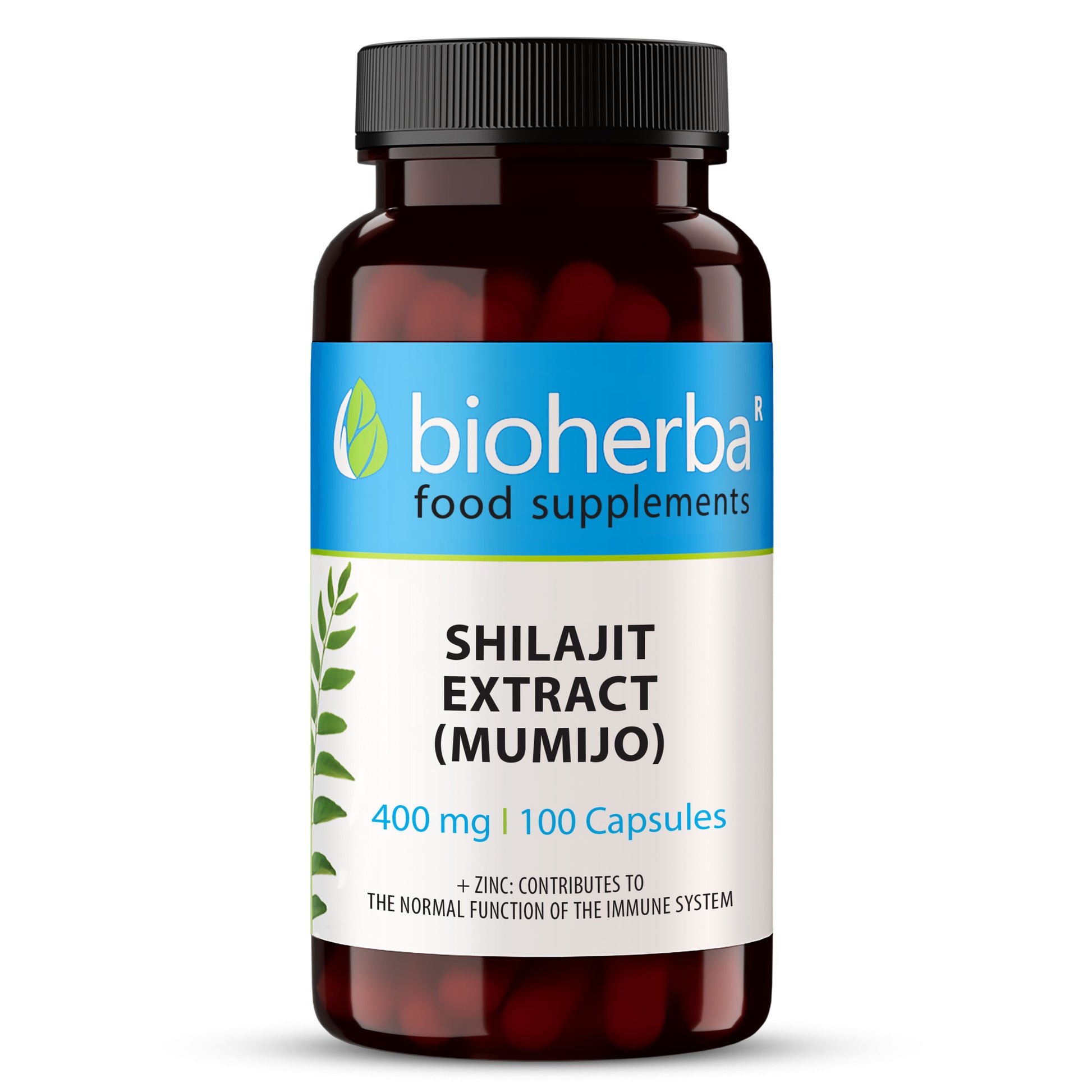Мумио Екстракт Шилажит / Shilajit Extract – 400 mg, 60 капсули | Здраво Тяло