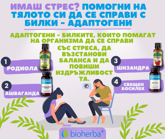 Aшваганда / Ashwagandha Екстракт 400 mg – 100 капсули | Здраво Тяло
