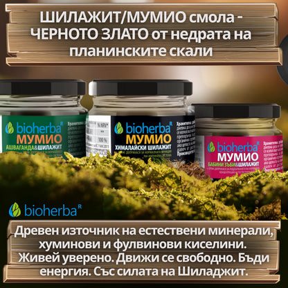 Мумио Шилажит / Shilajit – Чиста Смола, 50 g | Здраво Тяло