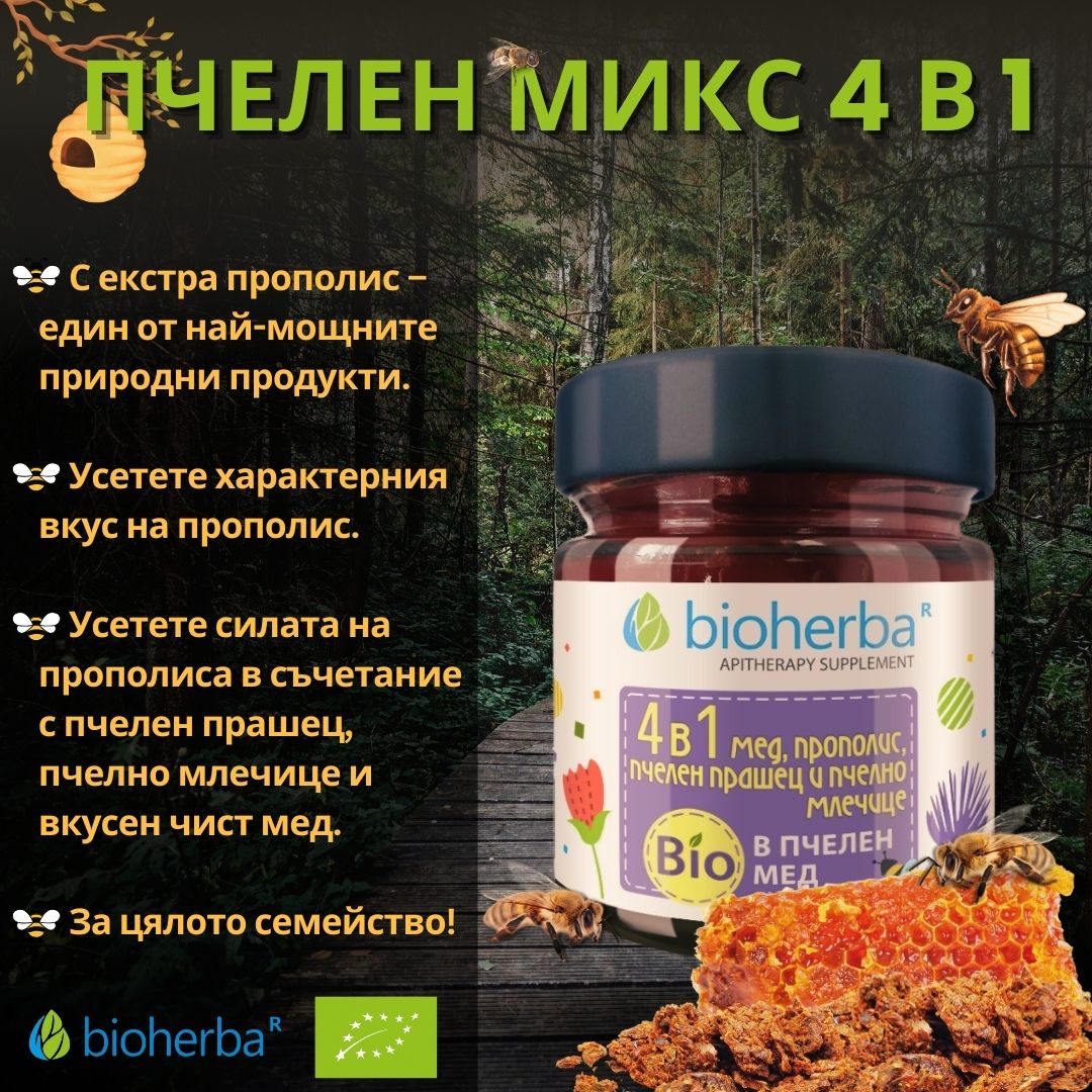 Пчелен микс 4 в 1 с прополис, пчелен прашец и био мед / Bee Mix 4 in 1 Propolis Bee Pollen Organic Honey 280 г | Здраво Тяло