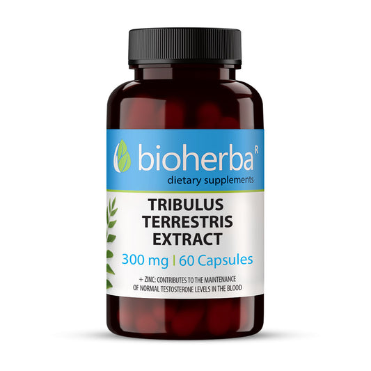Бабини Зъби Екстракт / Tribulus Terrestris Extract – 60 капсули, 300 мг | Здраво Тяло